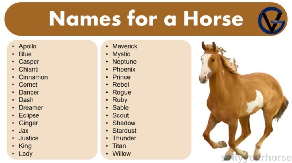 horse naming ideas